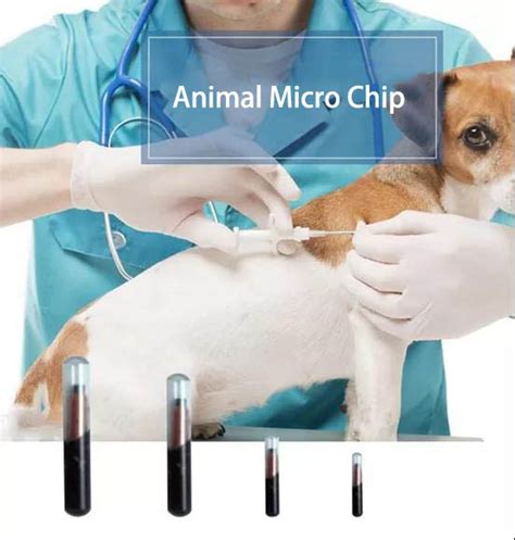 read pet rfid tag|rfid tags for animals.